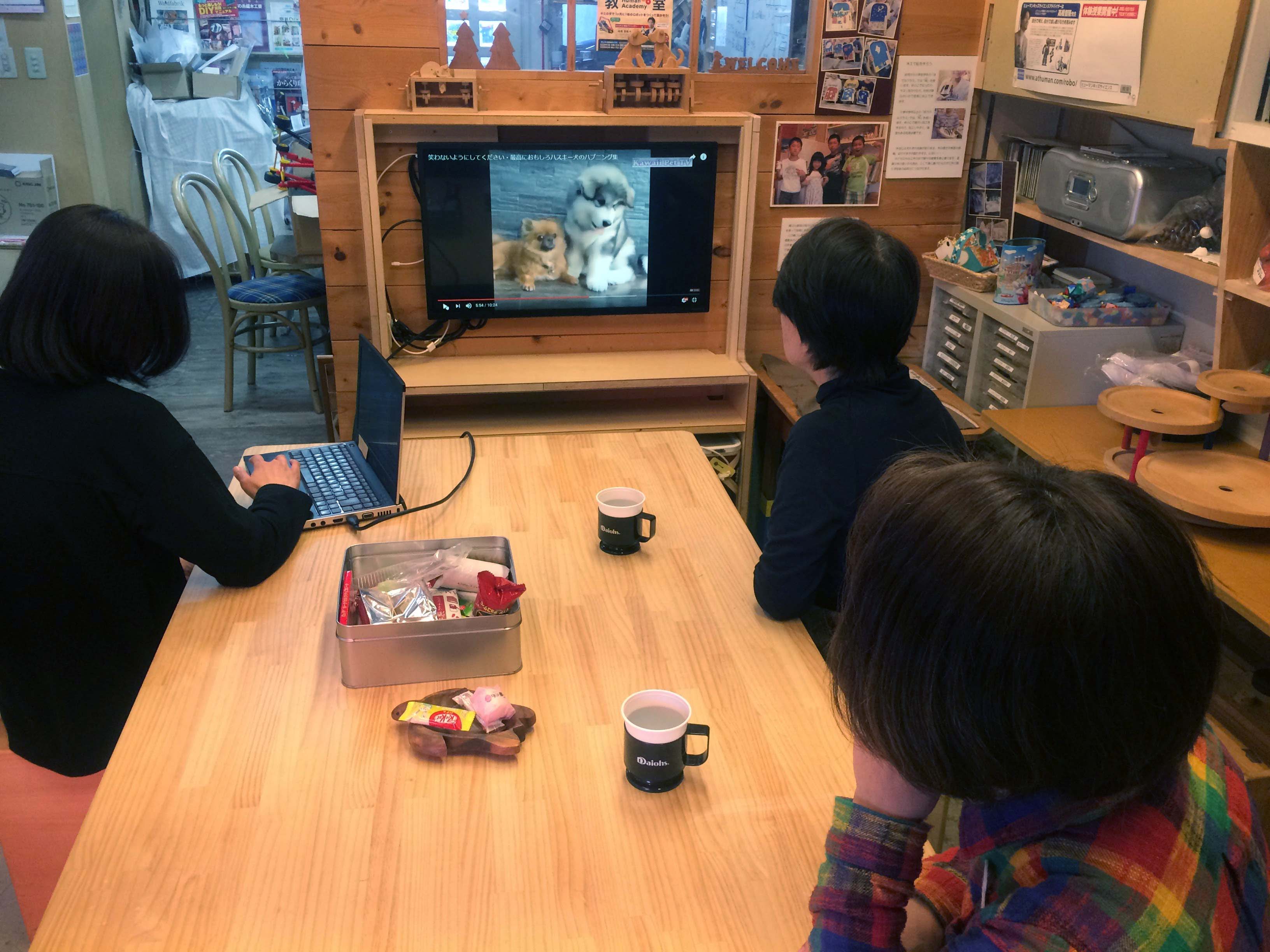 創遊の樹（そうゆうのき）